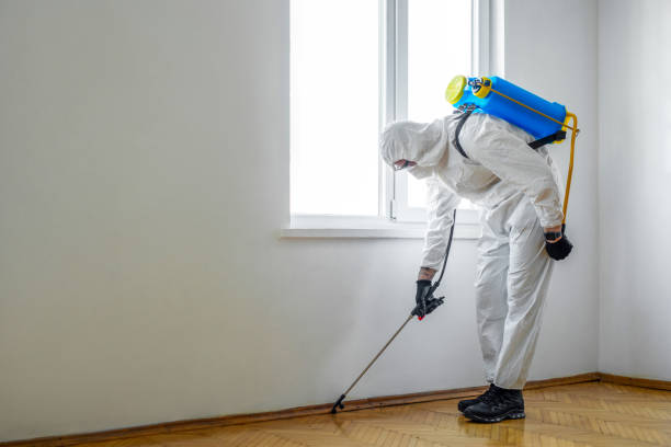 exterminator in work spraying pesticide or insecticide with sprayer exterminator in work spraying pesticide or insecticide with sprayer